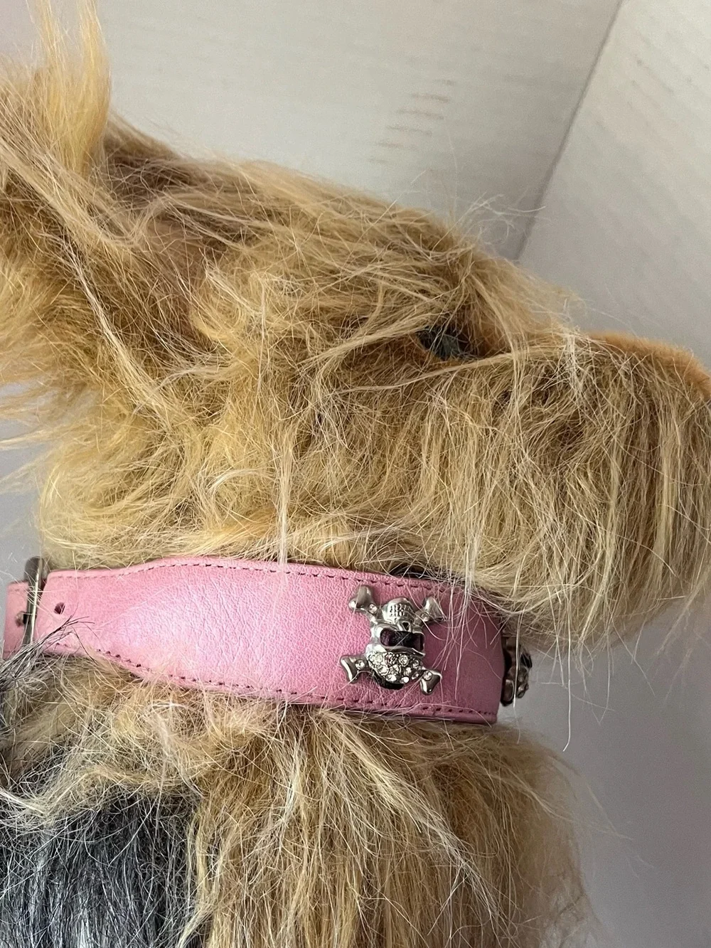 Hamptons Hound Pink Skeleton Rhinestone Embellished Dog Collar